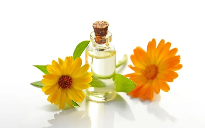 A glass bottle of aromatic oil with chamomile flowers on a white background.