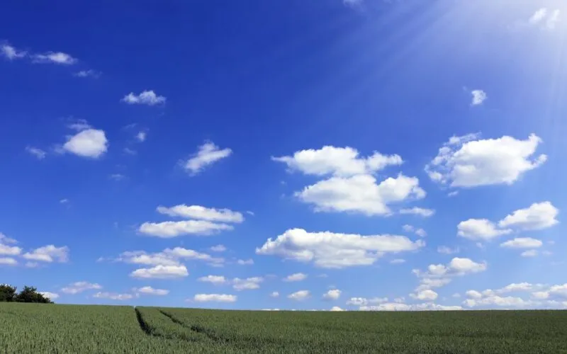 Jak Dbać o Dłonie z Egzemą i AZS? 7 Bezpiecznych Sposobów na Wrażliwą Skórę