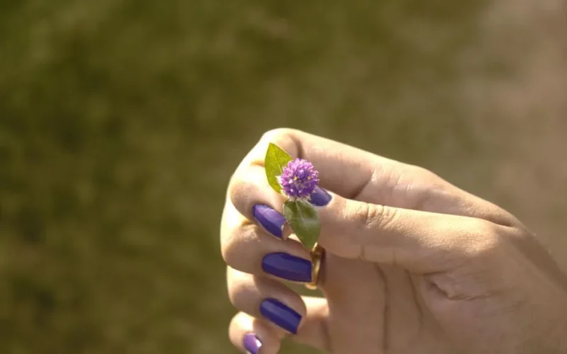 A woman's hand with purple nails delicately holding a small purple flower outdoors.
