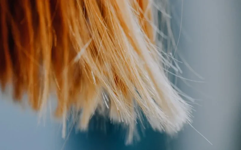 A detailed close-up of blonde hair strands with a soft and delicate focus, capturing the texture.